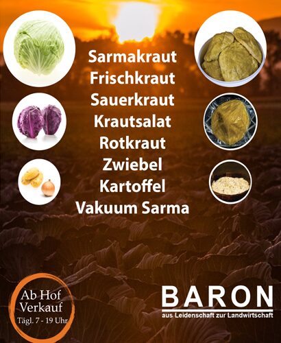 Baron Produktübersicht – Sarmakraut, Frischkraut, Sauerkraut, Rotkraut, Zwiebel und Kartoffel; Ab-Hof-Verkauf täglich 7–19 Uhr